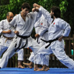 KARATE types of martial arts kicks