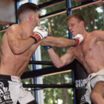 MMA martial art moves
